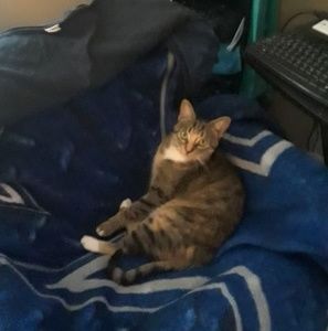 Meet your Posher, Robin